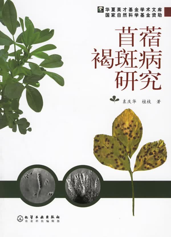 苜蓿褐斑病研究 袁庆华,桂枝著【正版书】