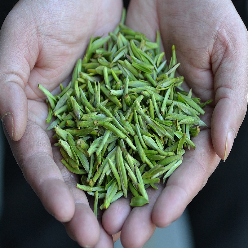 岩(jiuquyan)茶礼茶礼【2023年郭村】150克回甜明前特级安徽黄山毛尖