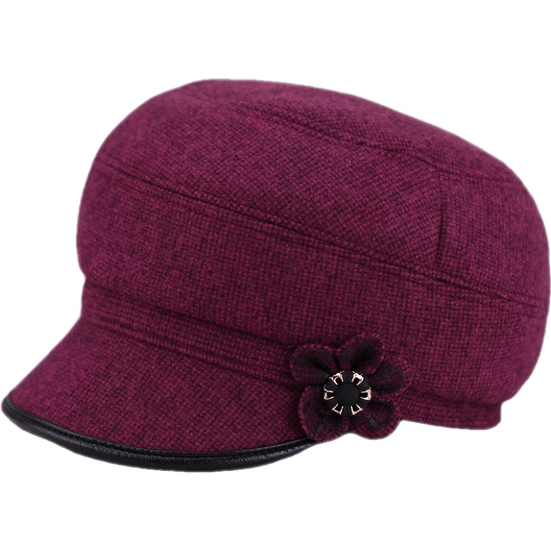 鸭舌帽京东价格走势图哪里看|鸭舌帽价格历史