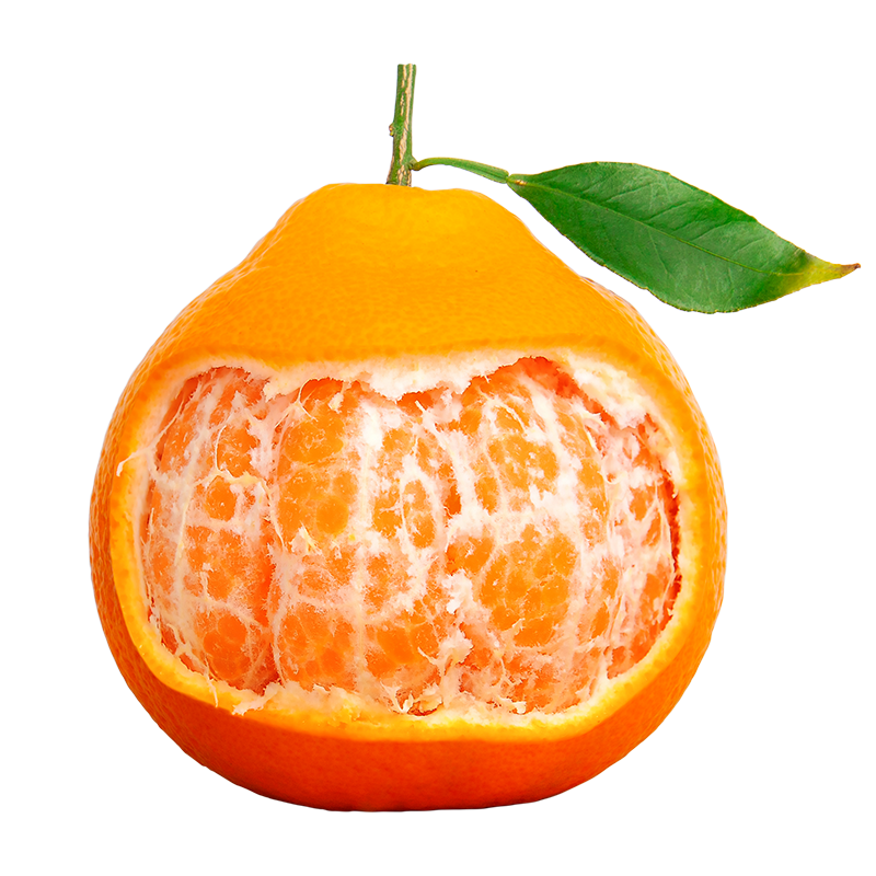 ����ùܼ� �Ĵ������ҰҸ̱������ ����ˮ����� 4.5-5�� ����4.5�� ����90mm+ 19.9Ԫ