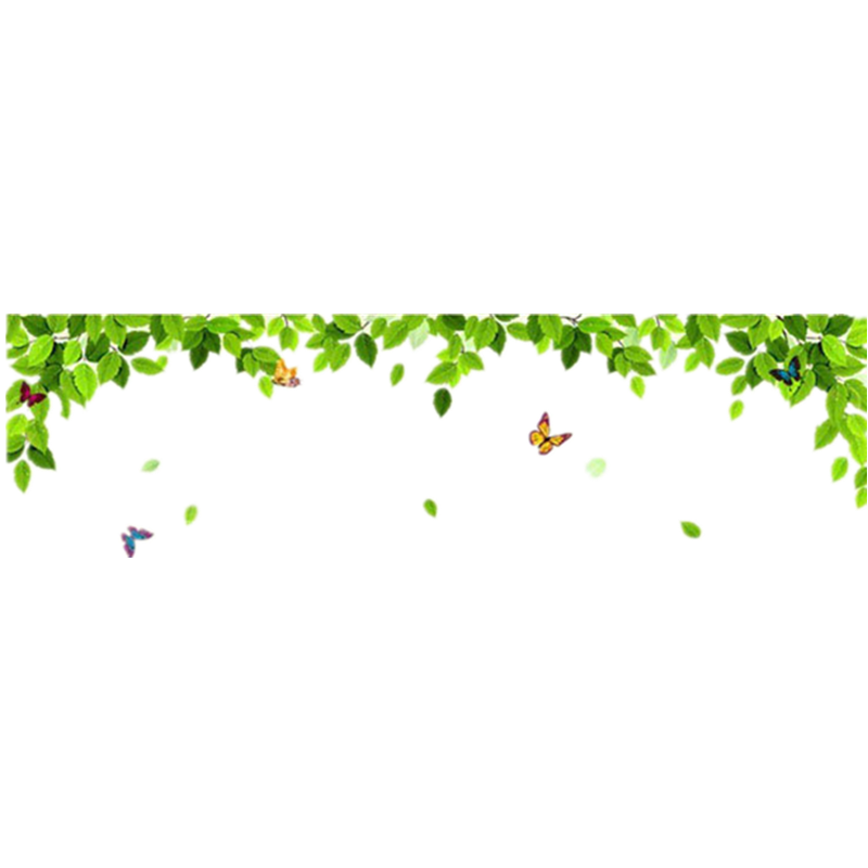 ����ܿ ��ճǽ�����������ӱ���ǽ��ֽ��԰�������ز���ǽ��װ�β����� ������Ҷ �ش�