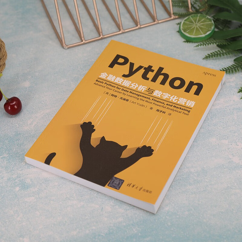 Python金融数据分析与数字化营销