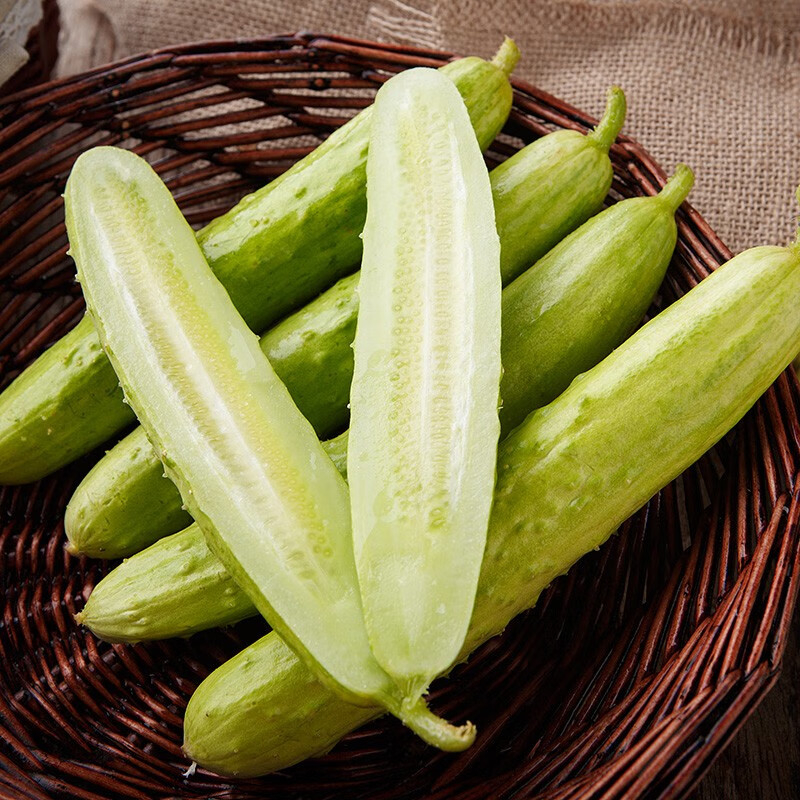 鲜武士小黄瓜 无刺黄瓜 水果黄瓜可生吃小青瓜新鲜水果蔬菜 小黄瓜2斤