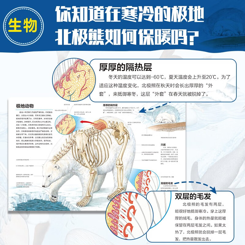万物运转的秘密（全10册）儿童科普百科全书亲子共读启蒙读物博物大百科小学生 7-10-14岁一二三四五年级课外阅读 大开本更清晰 高清透视图