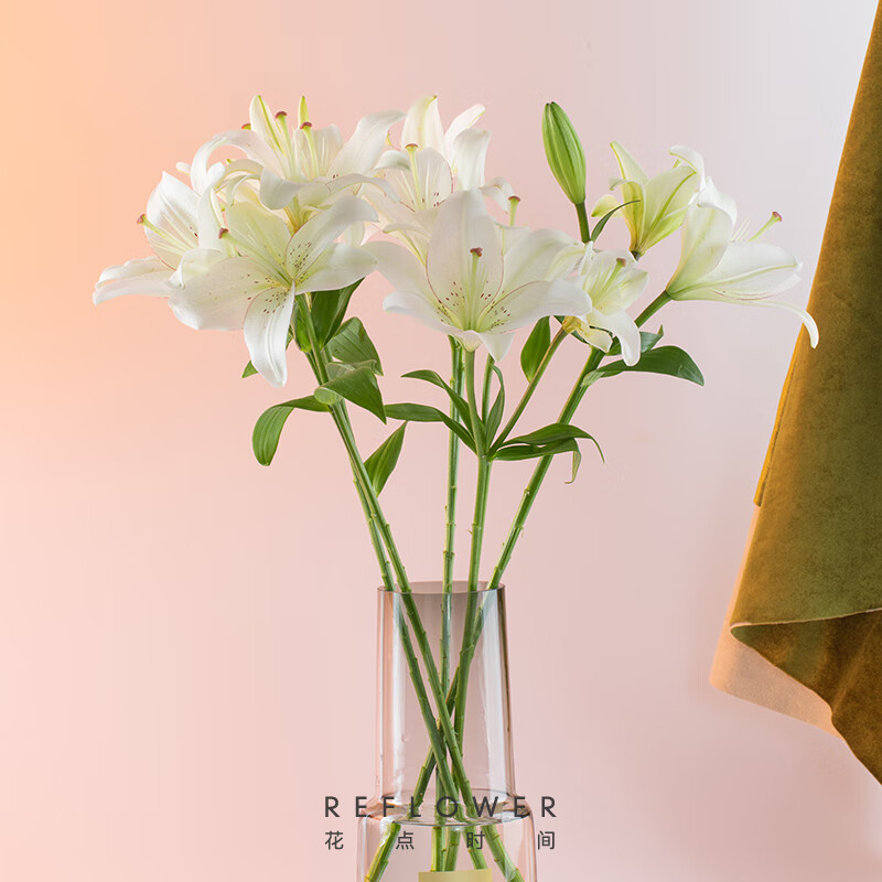 花点时间百合花鲜花云南昆明基地直发鲜切花室内插花鲜花白色10朵