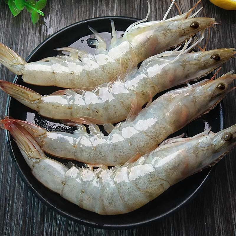 伯贤 新鲜海捕青岛大虾 带冰4斤 活冻青虾大虾基围虾 生鲜虾类海鲜水