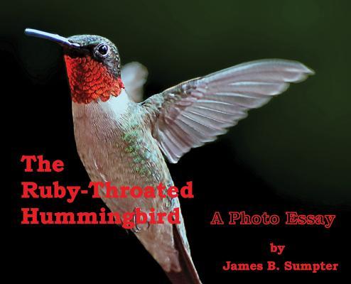 预订The Ruby-throated Hummingbird: A photo essay