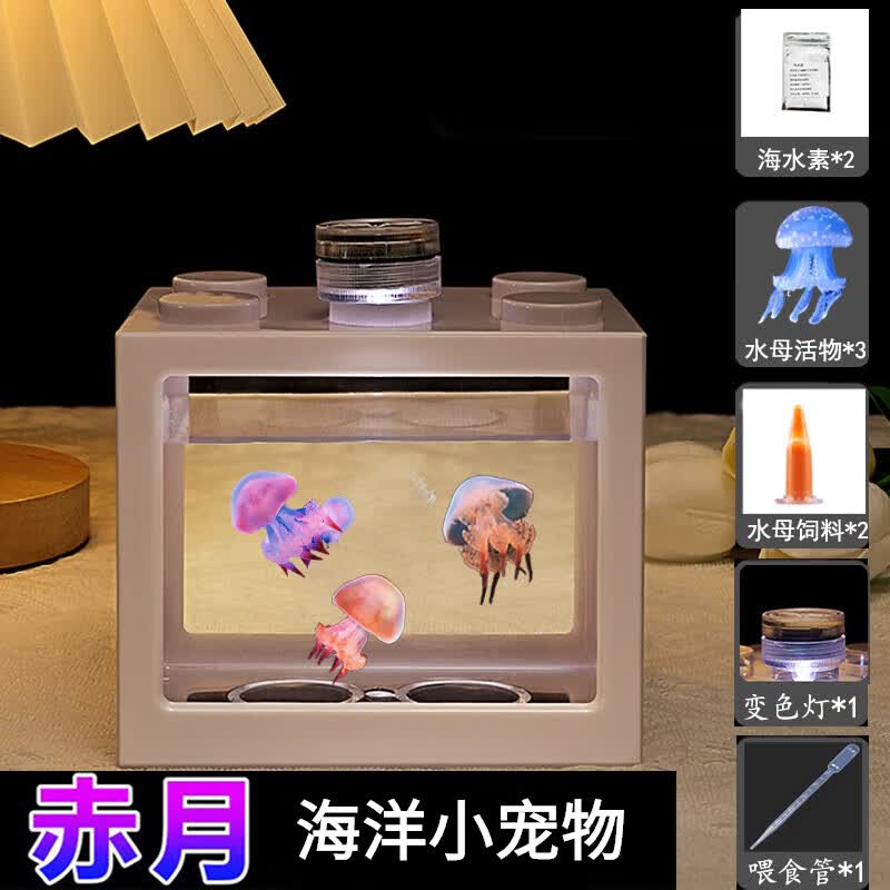 水母活物 水母活物包活学生客厅小型宠物好养的网红动物稀罕宠物 透明方形缸套餐+3只赤月水母属于什么档次？