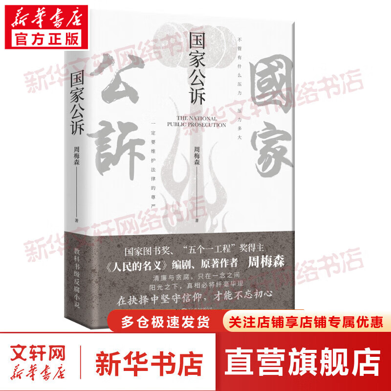 国家公诉 图书