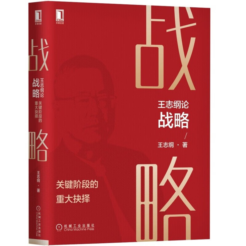 王志纲论战略:关键阶段的重大抉择 正版