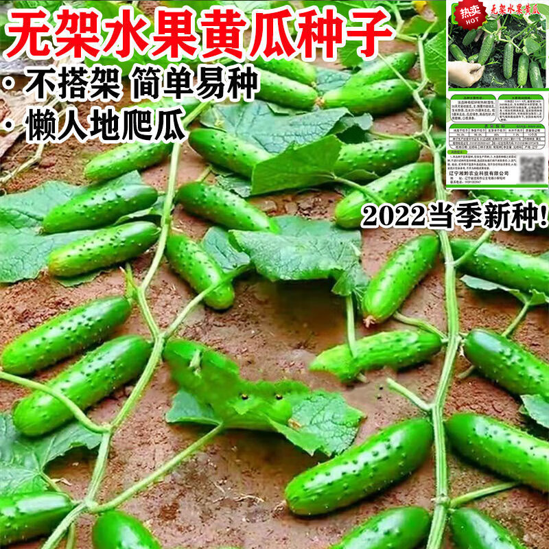 【瑰季】品牌花草林木:打造您的绿色乐园