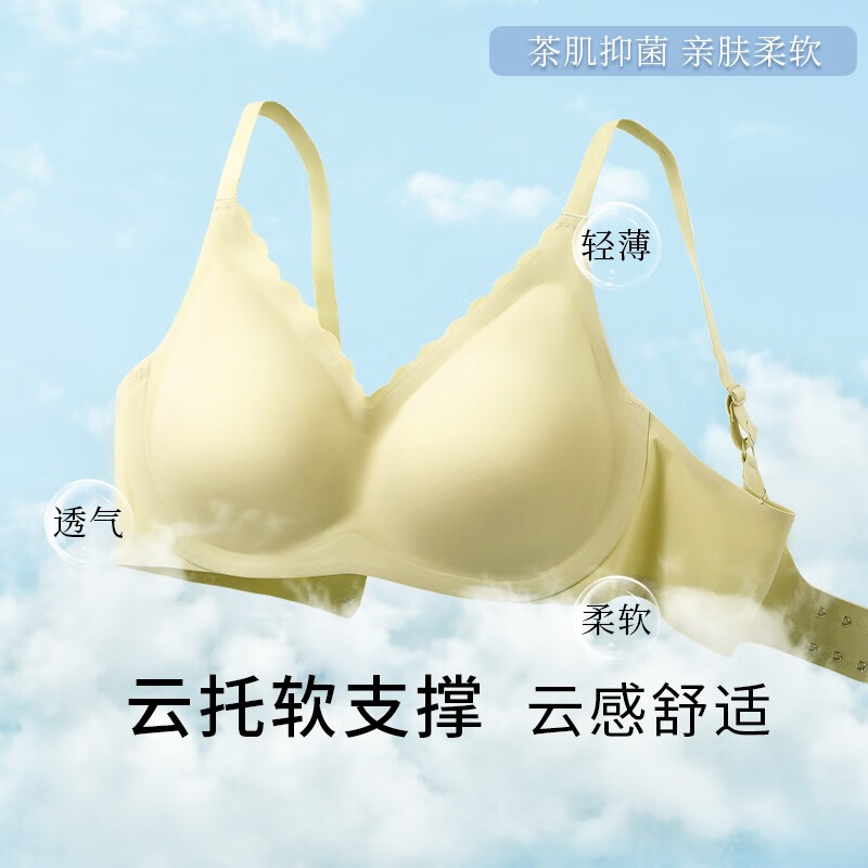 查询京东文胸价格走势|文胸价格走势