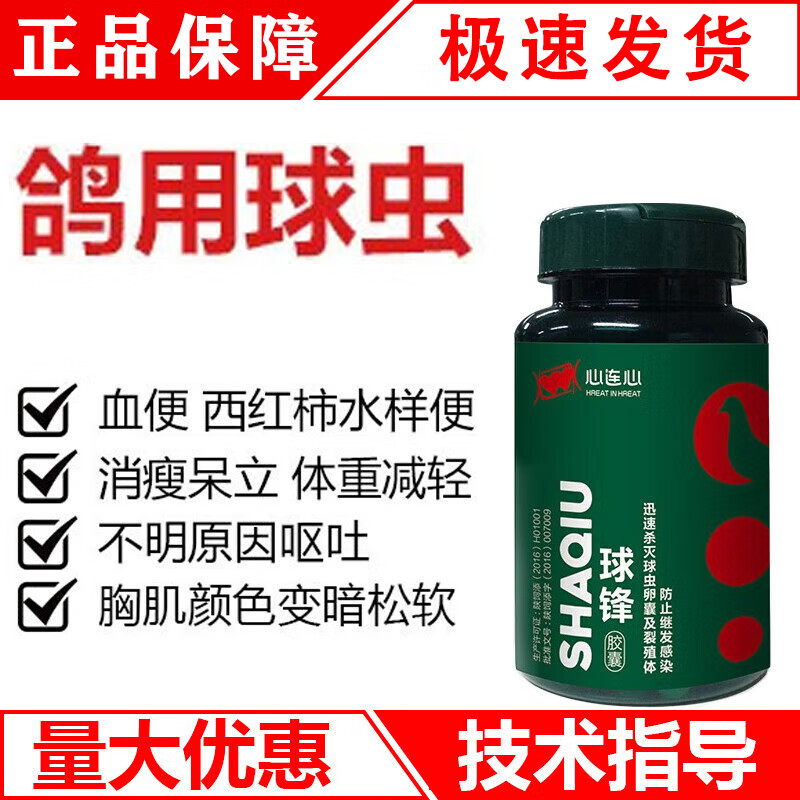 心连心鸽药赛鸽信鸽子药品拉稀水便品用品用球虫病专用球锋胶囊