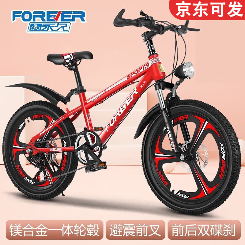 永久自行车:奇妙的世界与价格走势|查询自行车价格最低