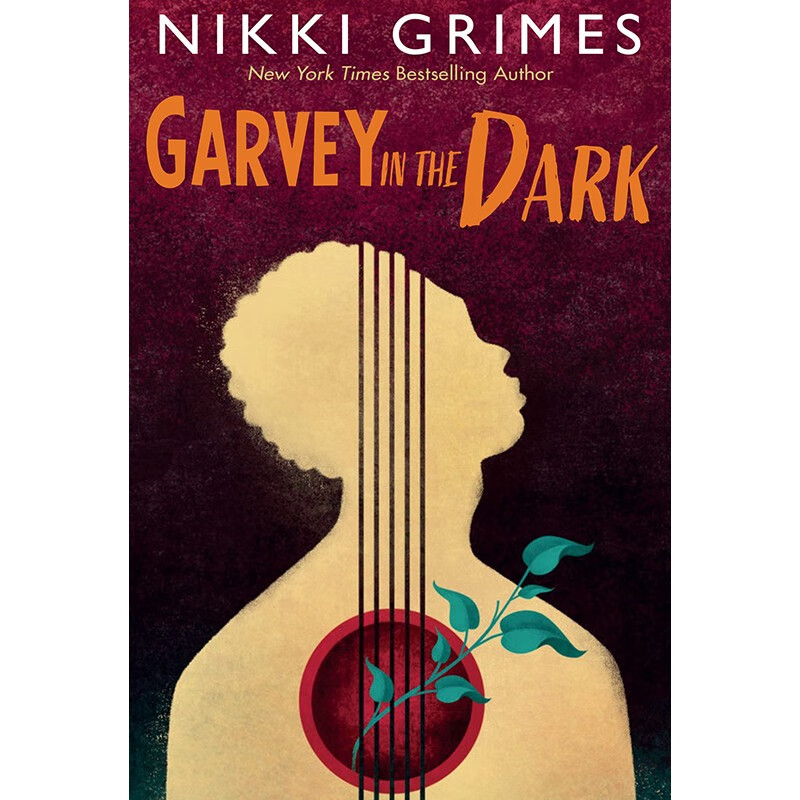 预订 英文原版 garvey in the dark 黑暗中的加维 nikki grimes 课外