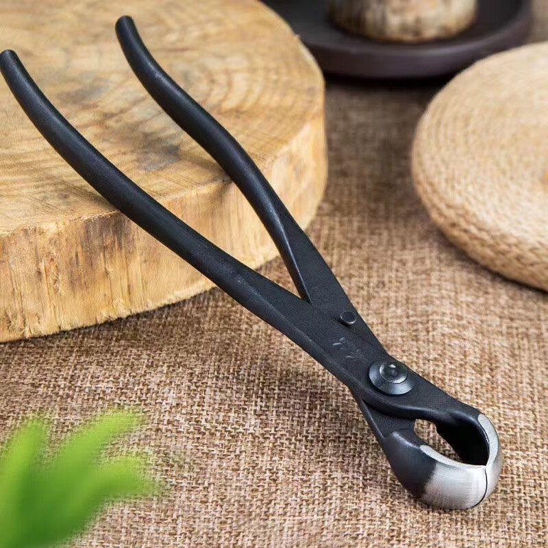 朱记海威盆景工具 球节剪斜口剪球节钳破杆钳叶芽剪园艺盆景修剪 中号