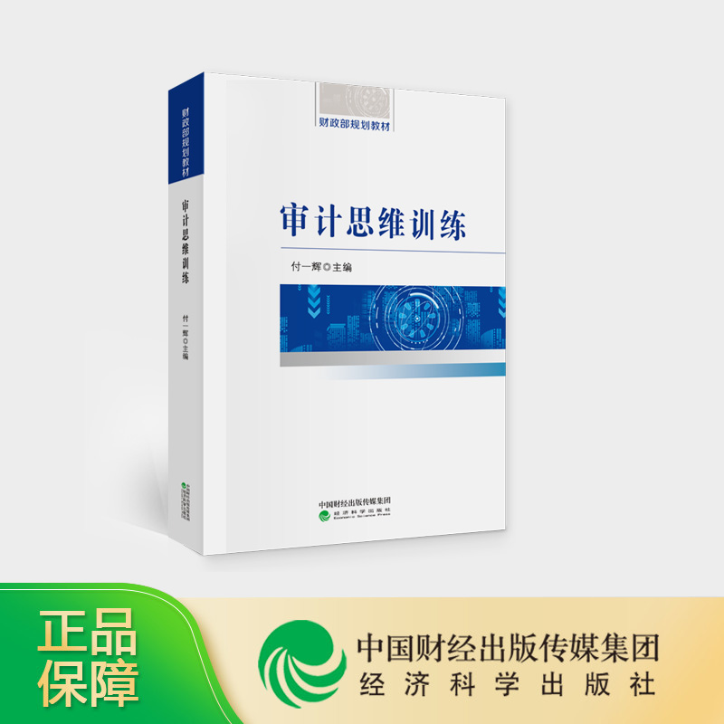 审计思维训练 付一辉主编 