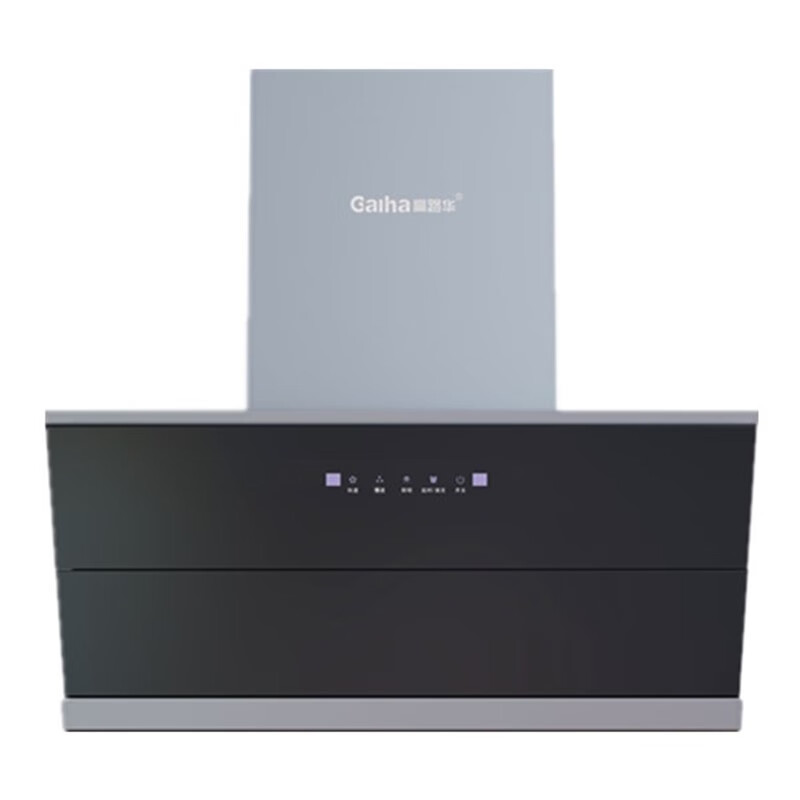 高路华(galha)高路华超广角净烟大吸力油烟机gxc322