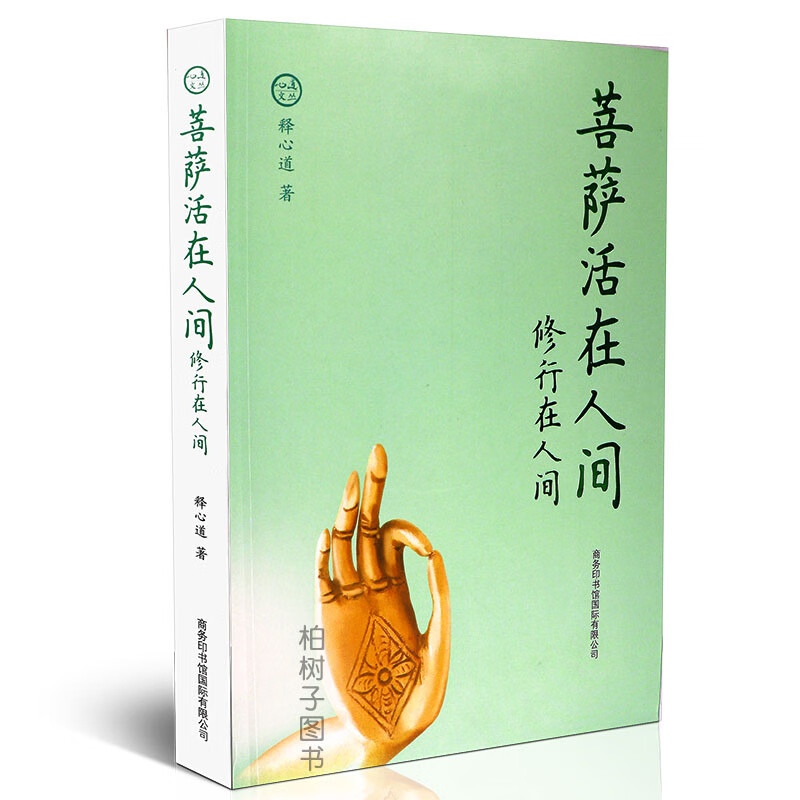 菩萨活在人间 修行在人间释心道佛教开语录佛教开示佛经故事去除烦恼智慧语录次第禅修步骤进阶佛学白话通俗