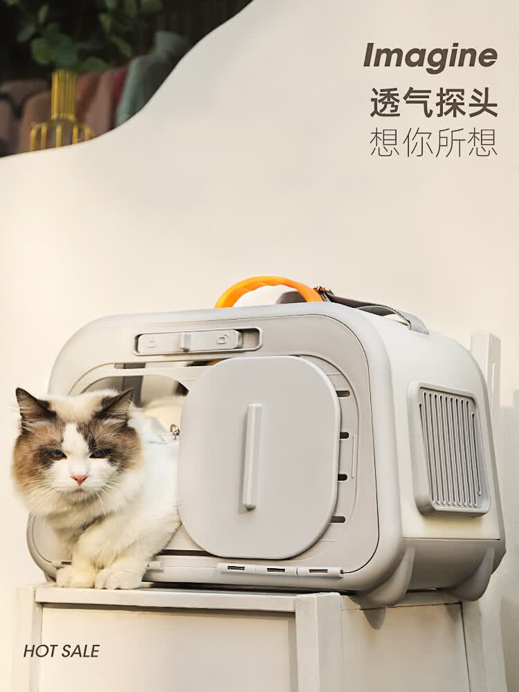 猫包外出便携太空舱猫咪航空箱猫背包宠物大容量手提猫笼携带猫箱