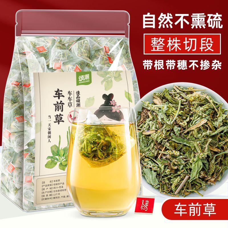 同济堂车前草颗粒冲剂颂潮车前草新鲜干货车轮草袋泡茶车前草泡茶独立