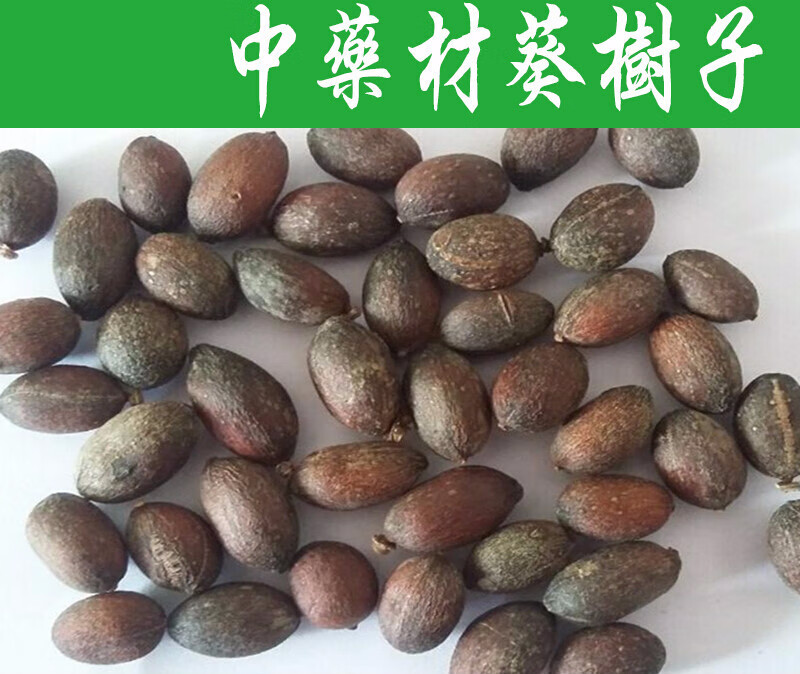 中药材葵树子葵树籽 葵扇子 葵扇籽 蒲葵籽 蒲葵子500g