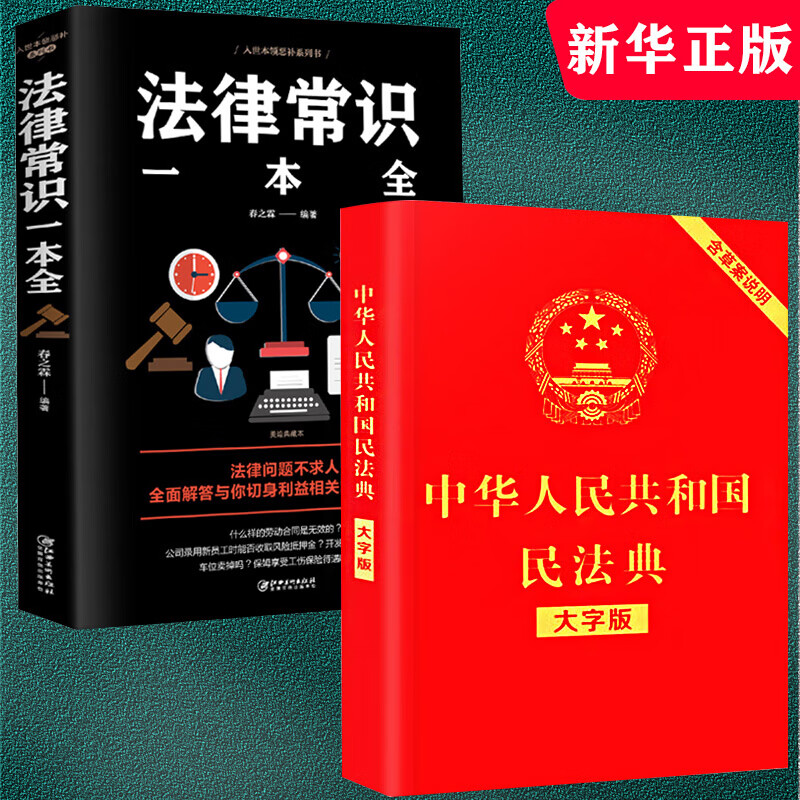 中华人民共和国民法典2020年版大字版中