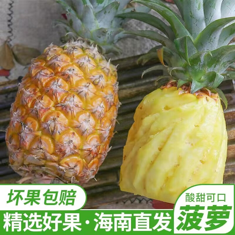 海南水果树上熟香水菠萝手撕菠萝甜蜜应季当季热带生鲜孕妇水果6-8斤