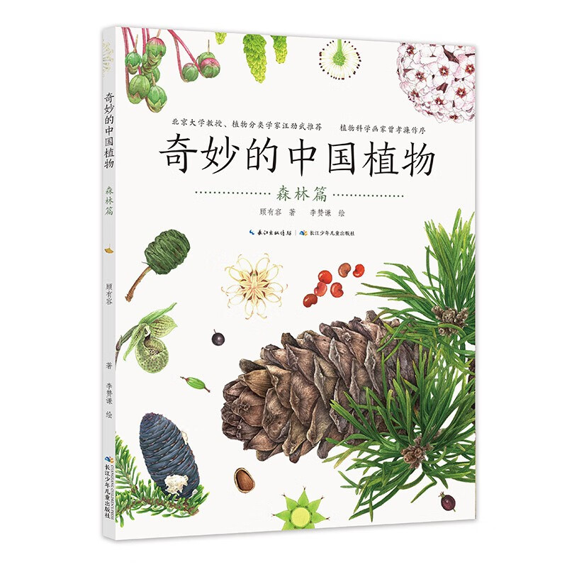 奇妙的中国植物(共4册)暑假阅读暑假课外书课外暑假自主阅读暑期假期读物详情图