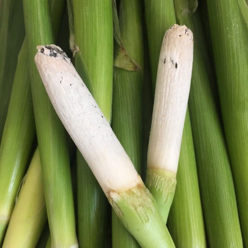 i乌米新鲜 东北特产高粱乌米 现摘头茬乌米青皮 乌咪40根顺丰 40根 丰