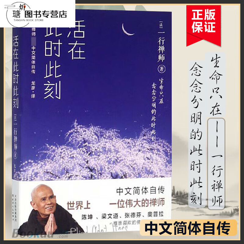 【正版】活在此时此刻一行禅师修行手记一本教你活出生命意义的灵性之书讲述一行禅师真实的生活经历心灵励志