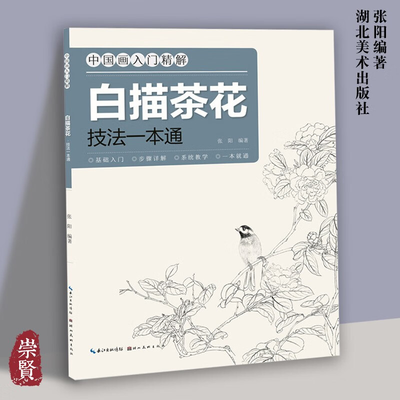 国画技法表现技法形态结构临摹步骤张阳编著湖北美术出版社 白描茶花