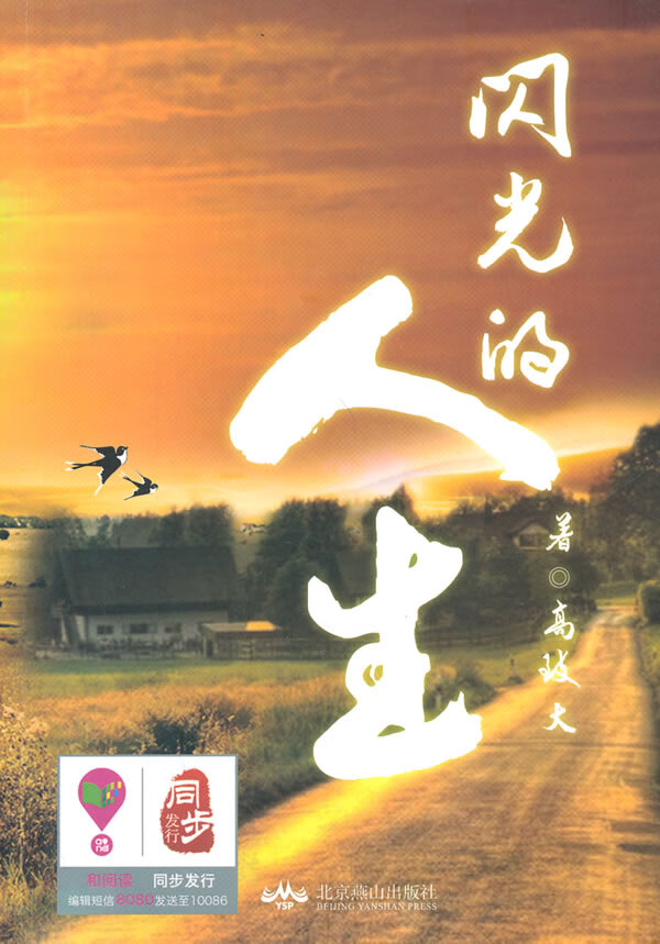 闪光的人生【正版图书】