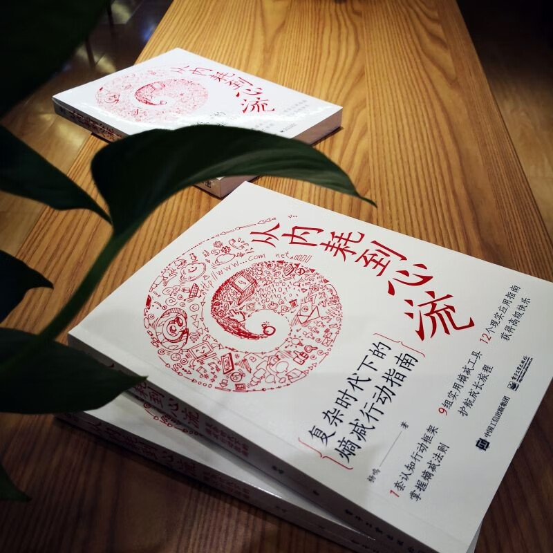 从内耗到心流：复杂时代下的熵减行动指南详情图