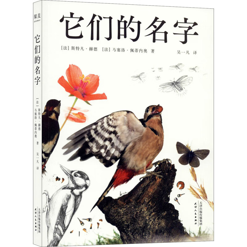 它们的名字