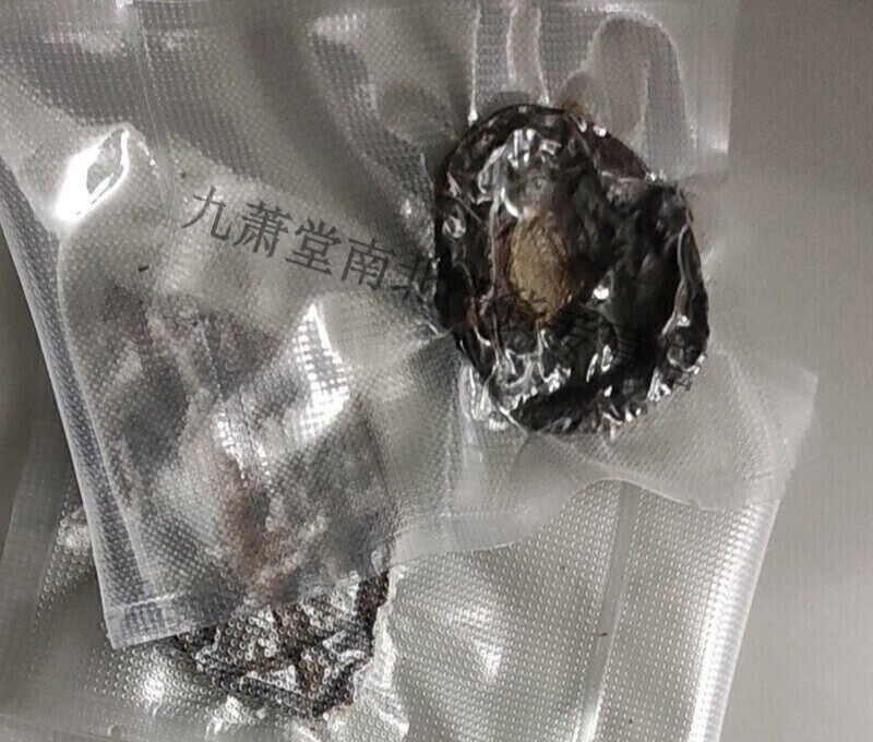 佑康泰【】猫的胞衣 猫胞 猫包 猫咪的胎pan零售 藓