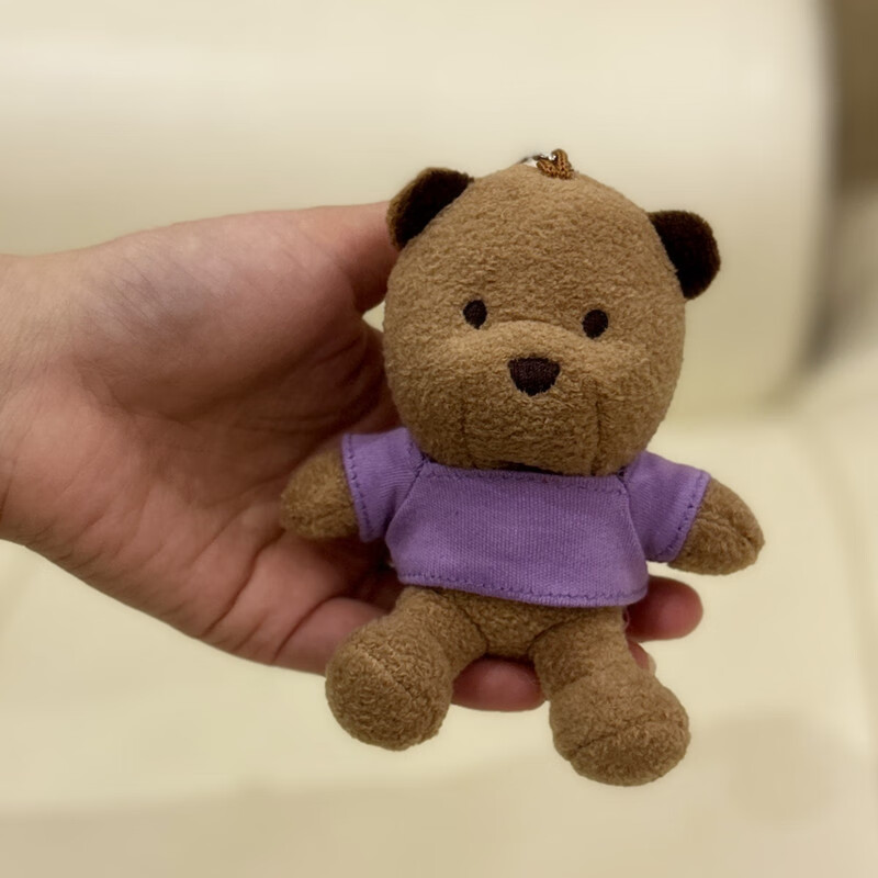 全光辰(quanguangchen)可爱小熊公仔刻名字姓氏熊diy印字毛绒玩偶定制