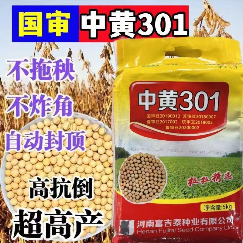 细辛中黄37 35 301稳产大豆新品种子农科院国审早熟大粒黄豆种子【中