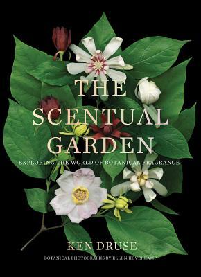 预订scentual garden: exploring the world of botanica