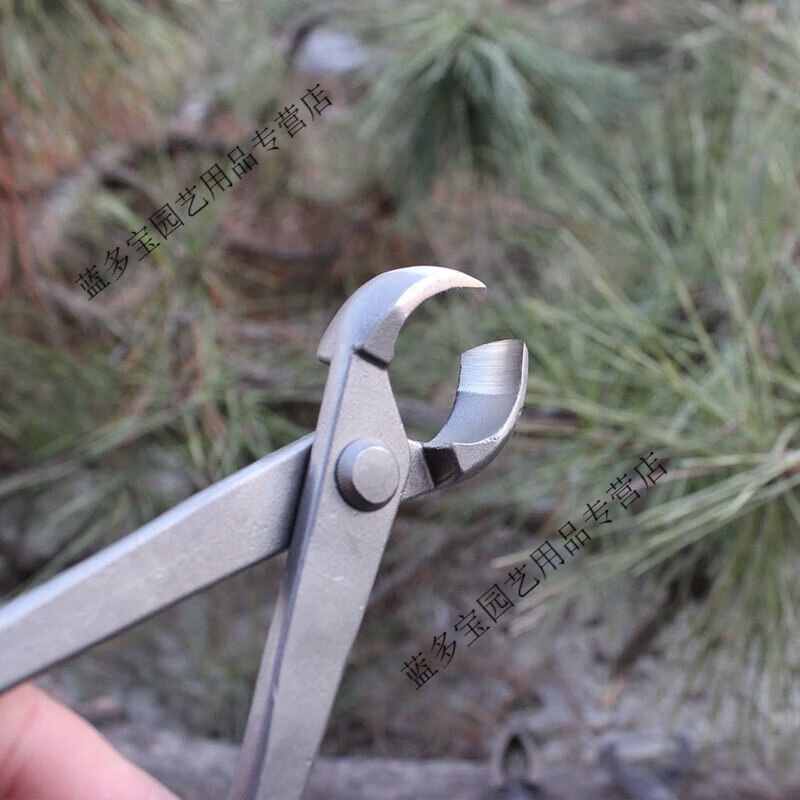 米詅球节剪球节剪盆景修剪专用工具球形剪刀树瘤修枝剪制作造型球形钳