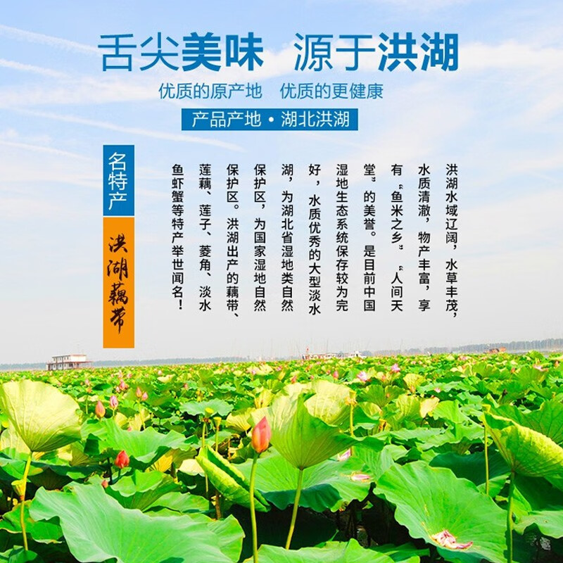 洪湖农家洪湖泡藕带400g*3 藕带藕尖泡菜 梦里水乡蔬菜火锅食材 湖北特产