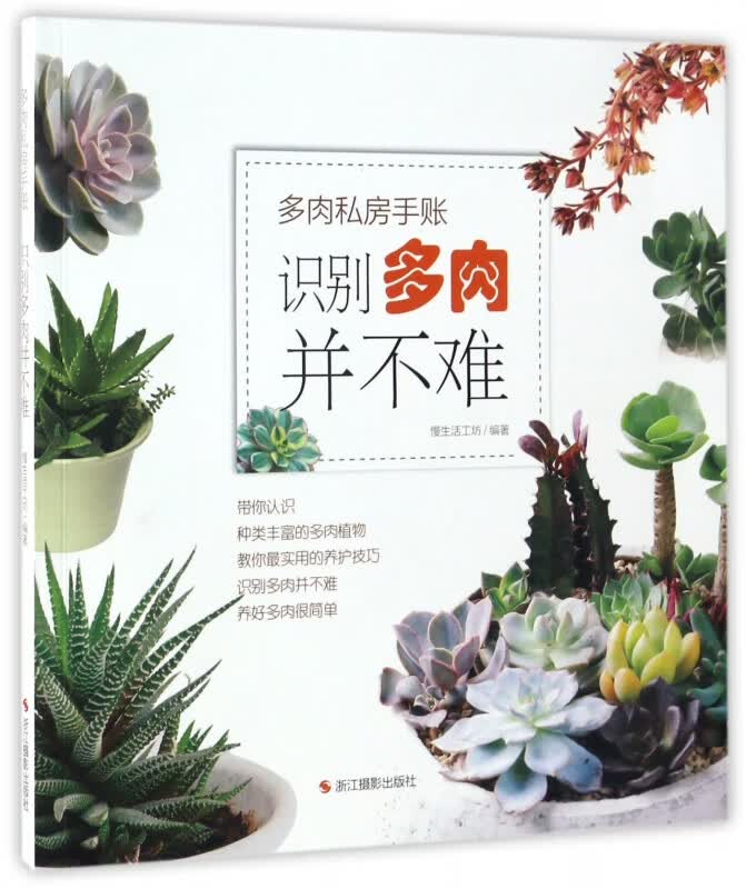 识别多肉并不难(多肉私房手账)