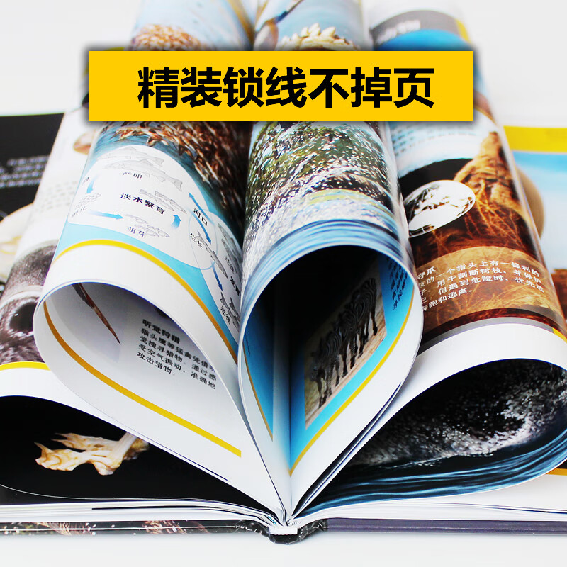 国家地理：哺乳动物 上下 二册套装（山西人民版）详情图