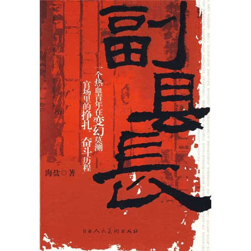 副县长【正版好书】