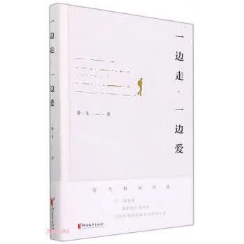 一边走一边爱 费一飞 9787533962159【正版图书】