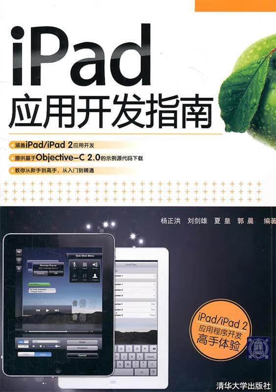 iPad应用开发指南 杨正洪 等编著 epub格式下载