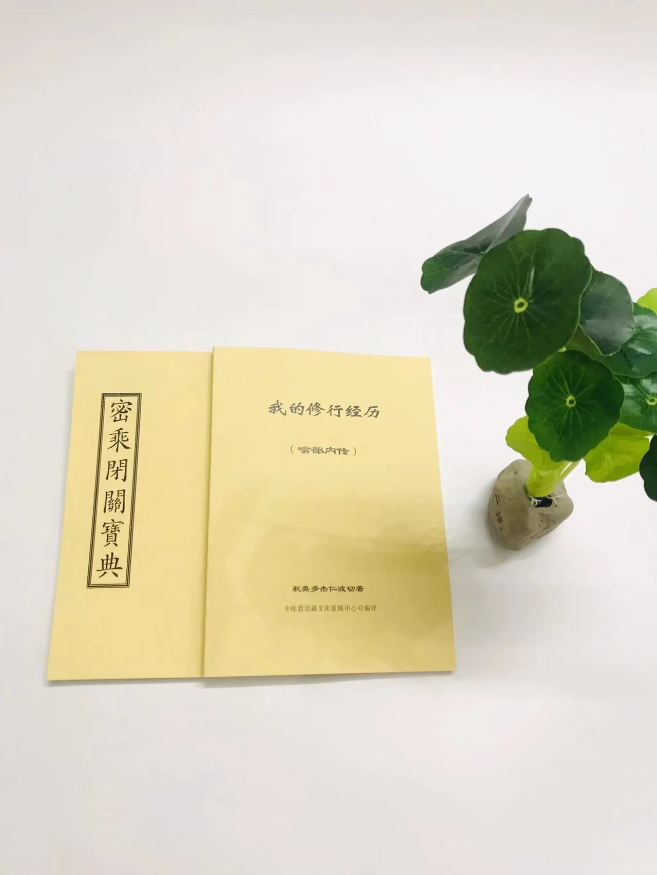 定制绝版收藏 密乘闭关宝典经历