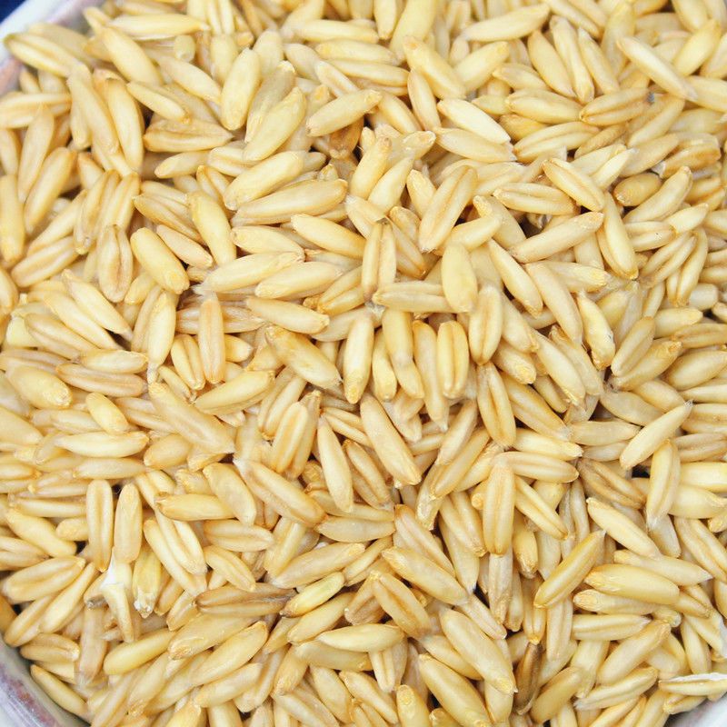Derenruyu新货燕麦米5斤农家自种燕麦仁荞麦米全胚芽燕麦五谷杂粮粗粮1斤 1斤燕麦米 1g