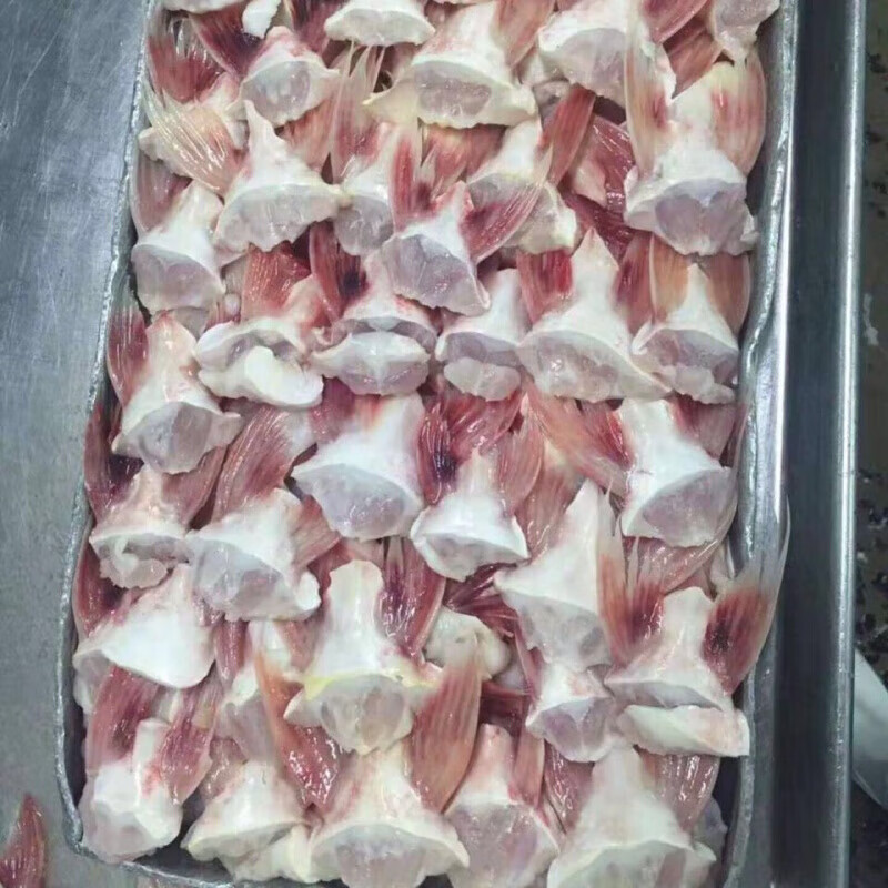 伯贤 新鲜巴沙鱼鳍回巴沙巴沙鱼刺鱼下巴快餐食材 新鲜鱼鳍5斤装