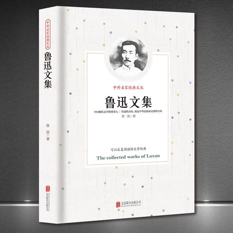 中外名家经典文丛《鲁迅文集》现代文学小说杂文中国文学作品集新版典藏正版书籍